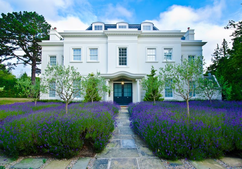 White House with Lavander Garden