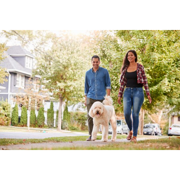 Young Man and Woman Walking their Dog