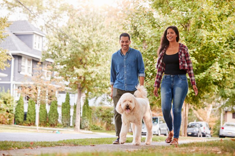 Young Man and Woman Walking their Dog