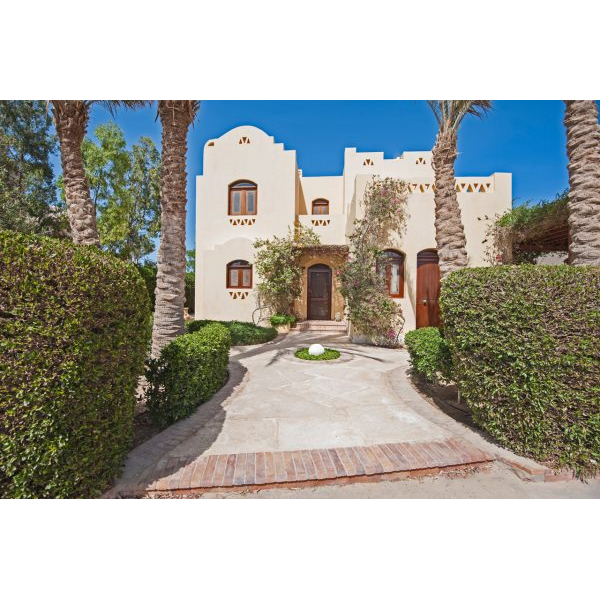 Entrance Beige House with Palms and Flowers