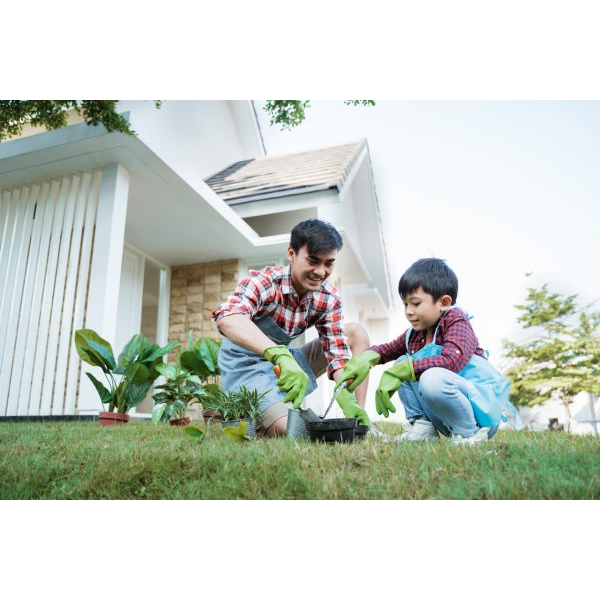 Father and Son Gardening