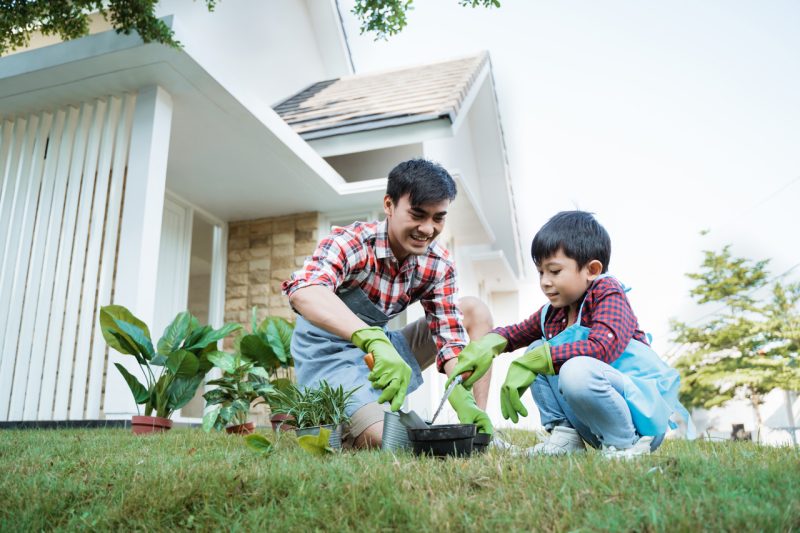 Father and Son Gardening