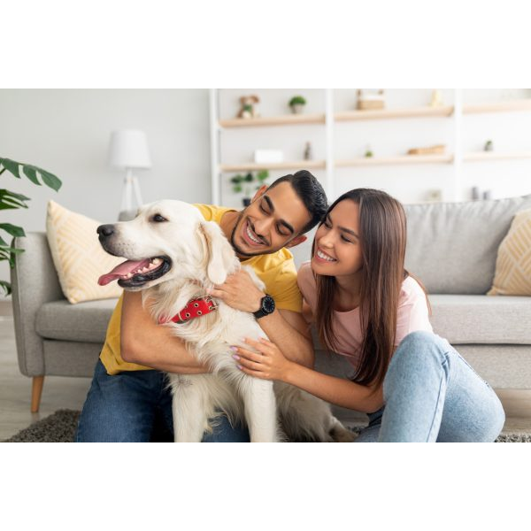 Happy Couple with Golden Retriever