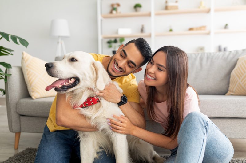 Happy Couple with Golden Retriever