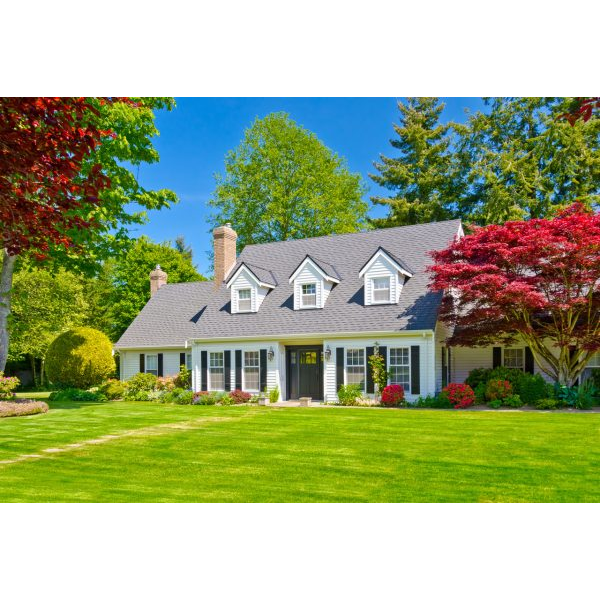 Luxury White House in the Suburbs at Daylight