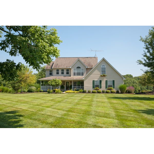 American Beige House with Threes in a Yard