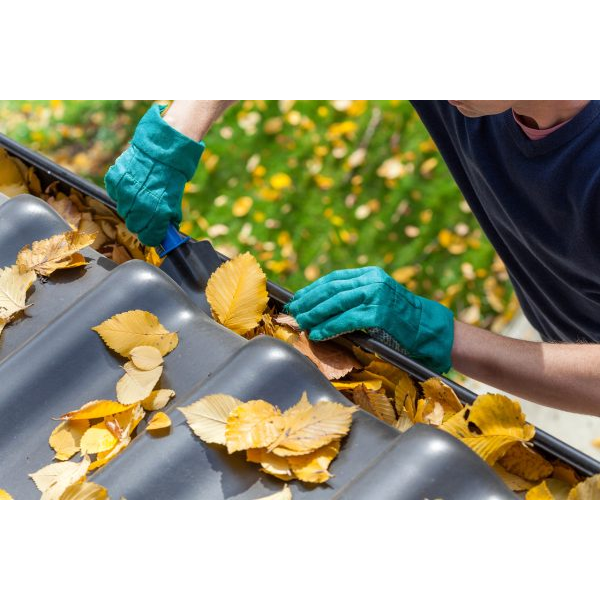 Man Cleaning the Gutters