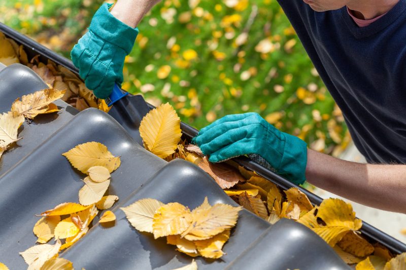 Man Cleaning the Gutters