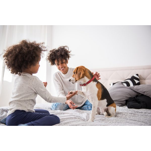 Mom and Daughter with Dog in Bed