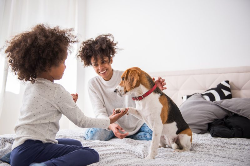 Mom and Daughter with Dog in Bed