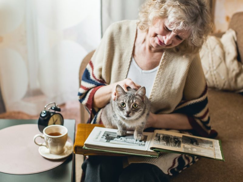 Lady with a Cat and Tea