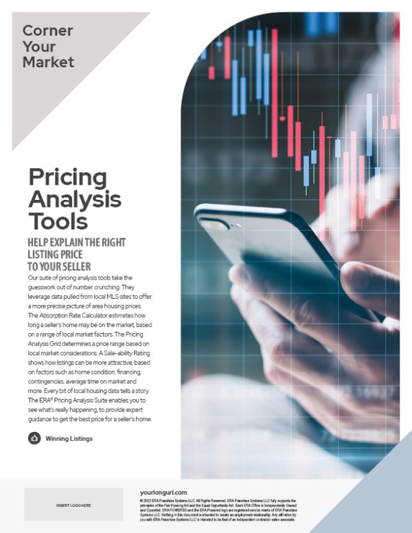 English Flyer Pricing Analysis Tool P