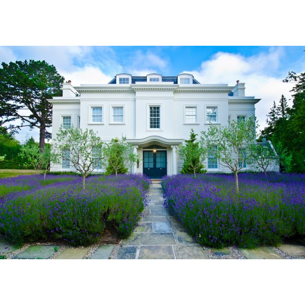 White House with Lavander Garden