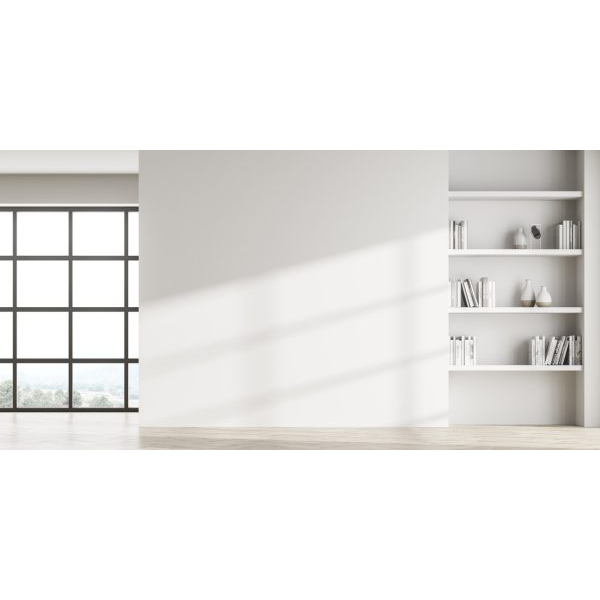 White Space and Bookshelf