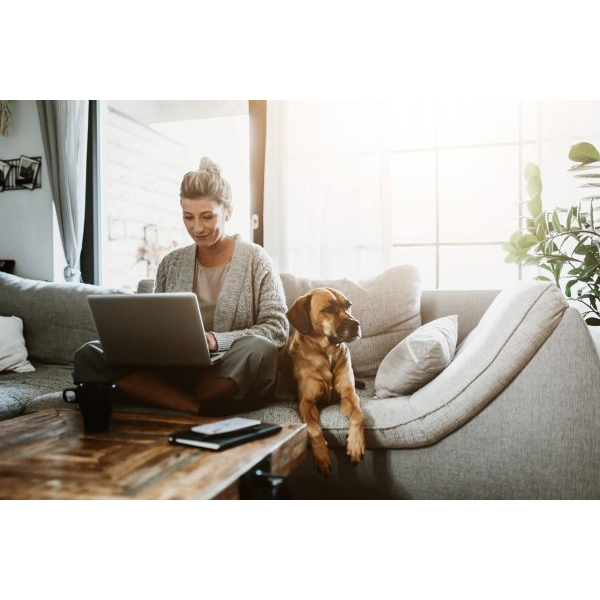 Woman Working in Livingroom with Laptop and Dog