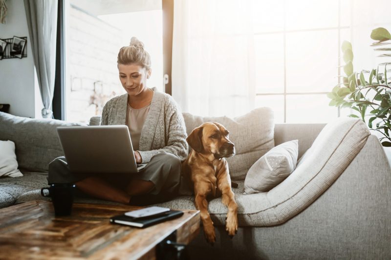 Woman Working in Livingroom with Laptop and Dog