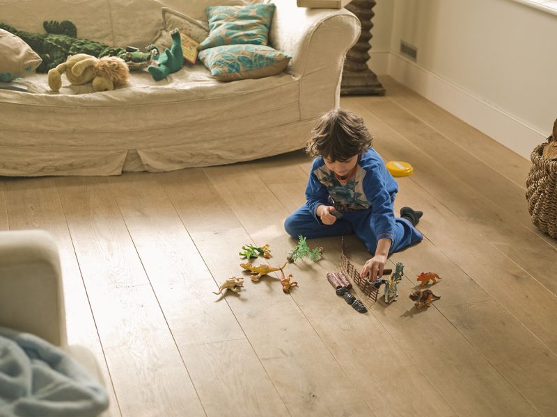 Child Playing with Dinosaur Toys in Living Room